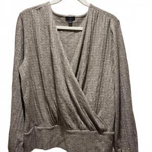 Ann Taylor Factory Taupe V-Neck Sweater